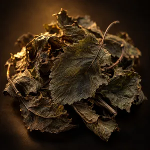 Patchouli
